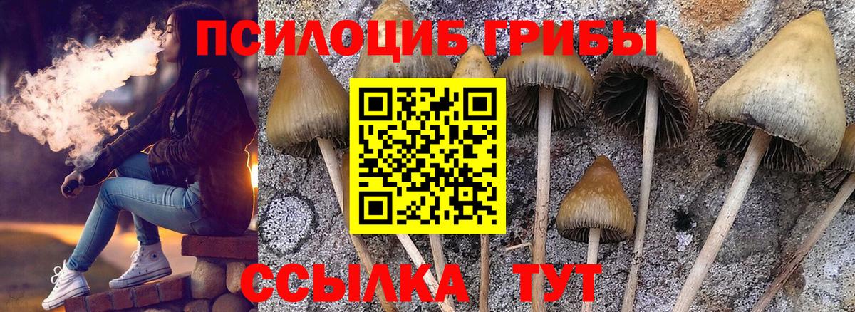 Псилоцибиновые грибы мицелий  Вход с VPN  Белебей 